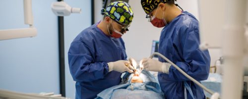 Zalety implantów zębowych